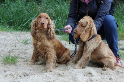 Das Große Ben Wellentreffen_86