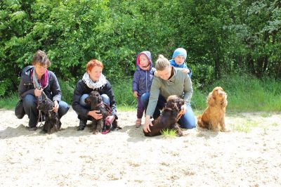 Das Große Ben Wellentreffen_90