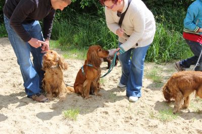 Das Große Ben Wellentreffen_101
