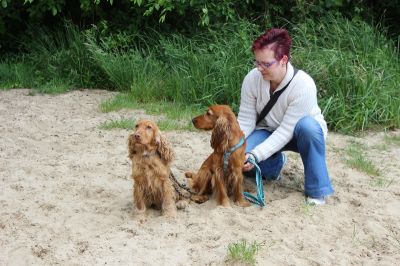 Das Große Ben Wellentreffen_102