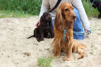 Das Große Ben Wellentreffen_103