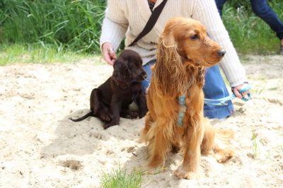 Das Große Ben Wellentreffen_104