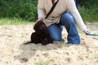 Das Große Ben Wellentreffen_105