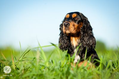 unsere Schönheit_10