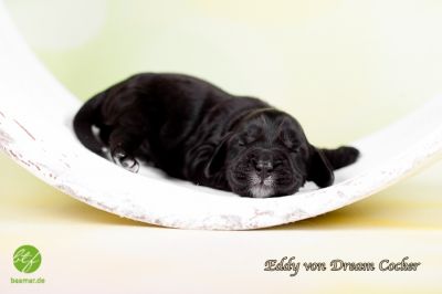 Unsere E-chen mit 1 Woche_7