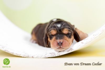 Unsere E-chen mit 1 Woche_11