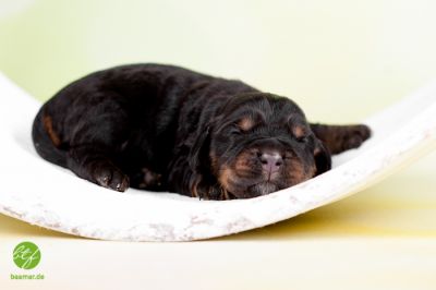 Unsere E-chen mit 1 Woche_12