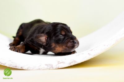 Unsere E-chen mit 1 Woche_17