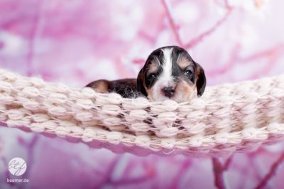 Unser woneproppen mit 2 Wochen _5