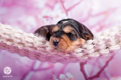 Unser woneproppen mit 2 Wochen _15