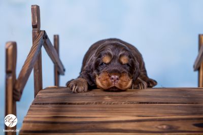 Unsere F-chen aus _2