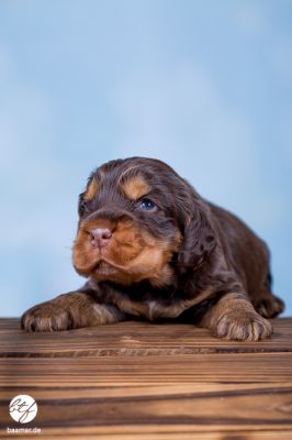 Unsere F-chen aus _4