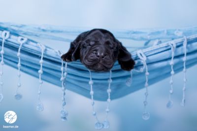 Unsere H-chen aus _1