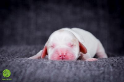 Unsere Ichen 1 tag alt _1