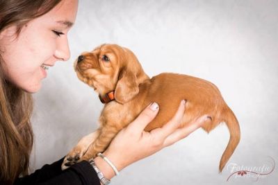 Usher von Dream Cocker_4