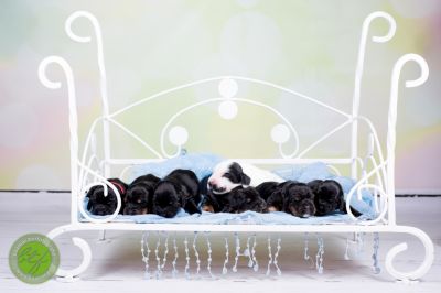 Unsere Babys mit 3 Tage 