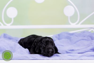 Unsere Babys mit 3 Tage 