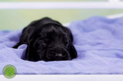 Unsere Babys mit 3 Tage 