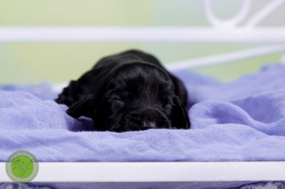 Unsere Babys mit 3 Tage 