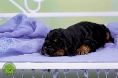 Unsere Babys mit 3 Tage 