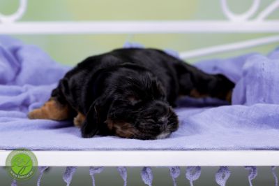 Unsere Babys mit 3 Tage 