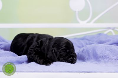 Unsere Babys mit 3 Tage 