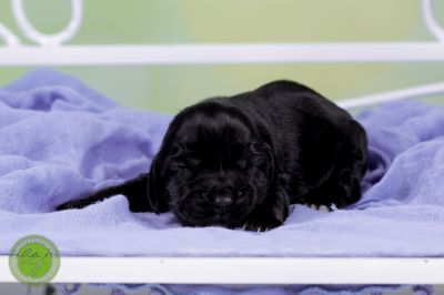 Unsere Babys mit 3 Tage 