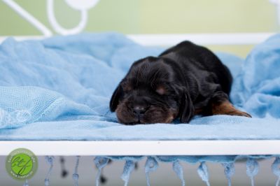 Unsere Babys mit 3 Tage 