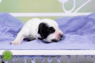 Unsere Babys mit 3 Tage 