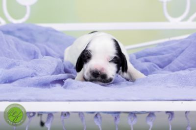 Unsere Babys mit 3 Tage 