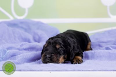 Unsere Babys mit 3 Tage 