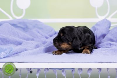 Unsere Babys mit 3 Tage 