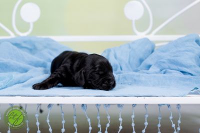 Unsere Babys mit 3 Tage 