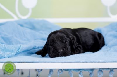 Unsere Babys mit 3 Tage 