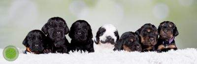 Unsere Babys mit 14 Tage 