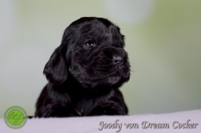 Unsere Babys mit 14 Tage 