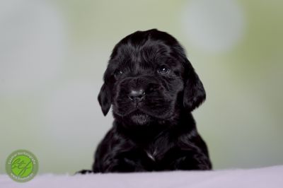 Unsere Babys mit 14 Tage 