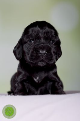 Unsere Babys mit 14 Tage 