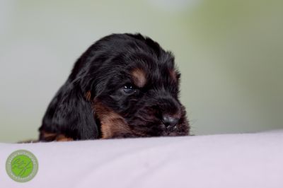 Unsere Babys mit 14 Tage 