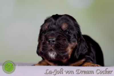 Unsere Babys mit 14 Tage 