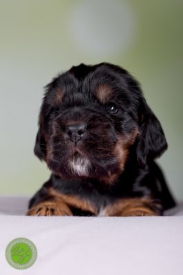 Unsere Babys mit 14 Tage 