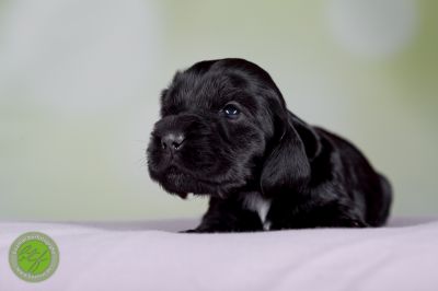 Unsere Babys mit 14 Tage 