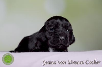 Unsere Babys mit 14 Tage 