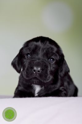 Unsere Babys mit 14 Tage 