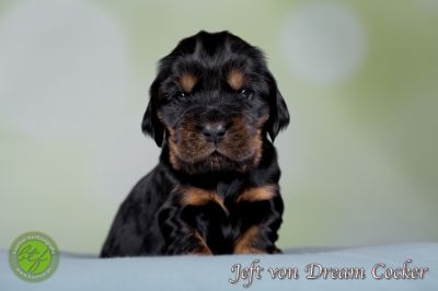 Unsere Babys mit 14 Tage 