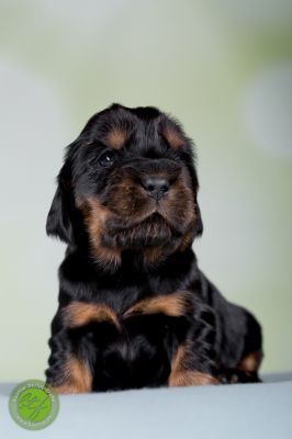 Unsere Babys mit 14 Tage 