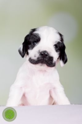 Unsere Babys mit 14 Tage 