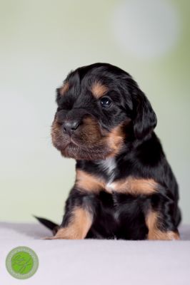 Unsere Babys mit 14 Tage 