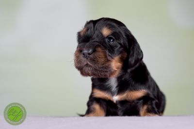 Unsere Babys mit 14 Tage 