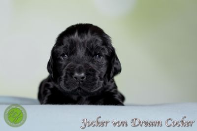 Unsere Babys mit 14 Tage 